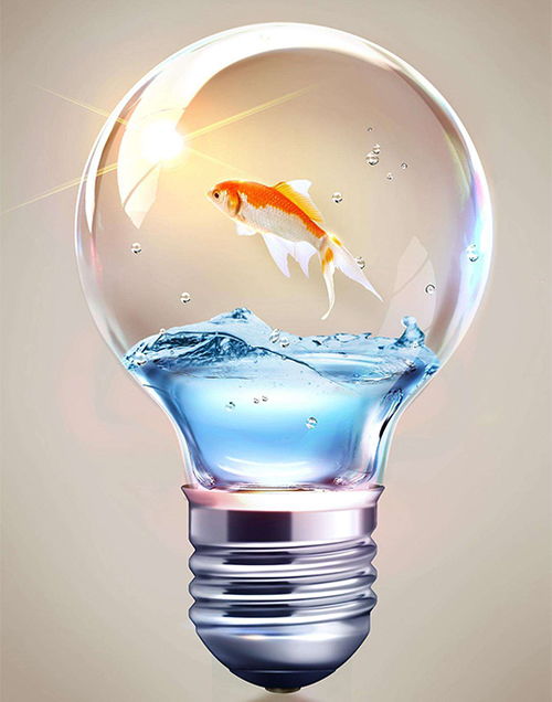 中國(guó)照明 化劣勢(shì)為優(yōu)勢(shì) 巧用促銷聚集人氣